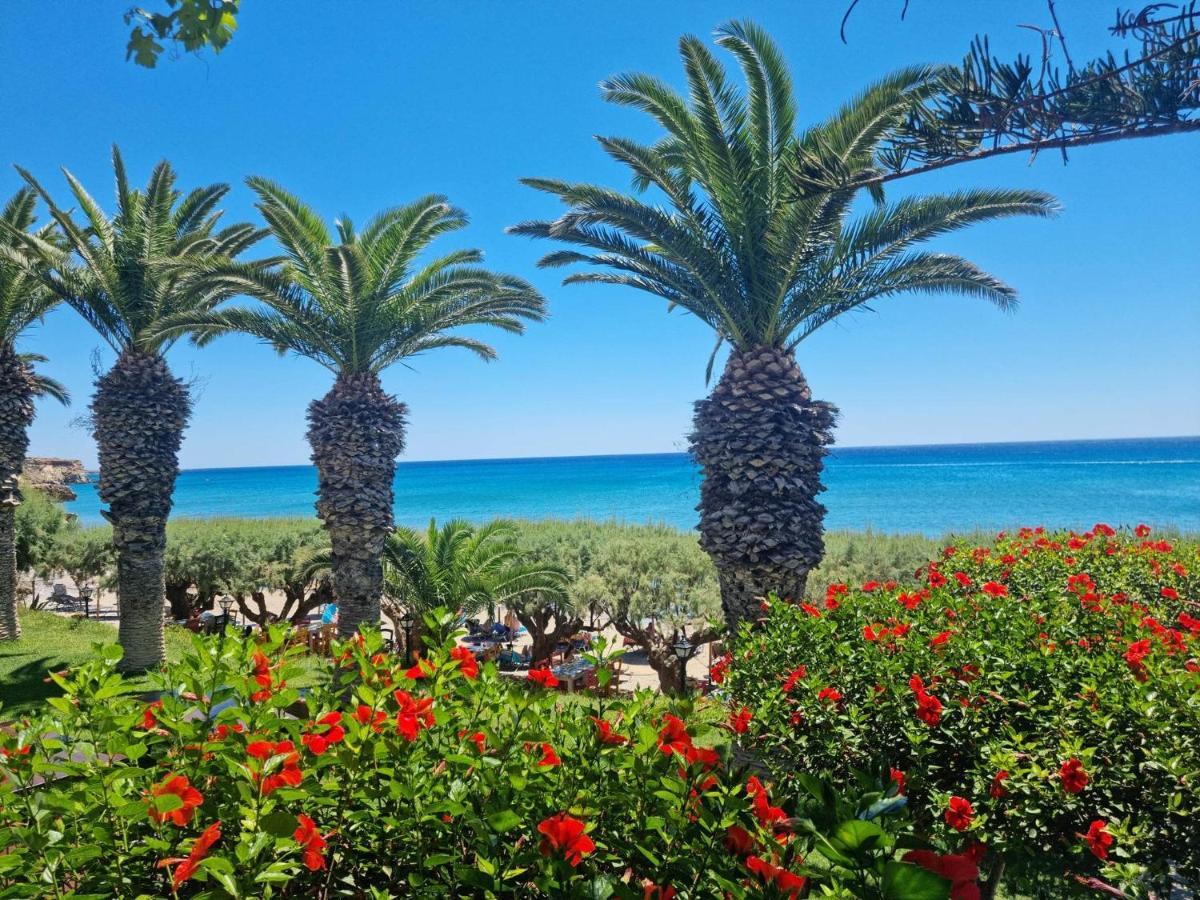 Artemis Lejlighedshotel Makrýgialos Eksteriør billede