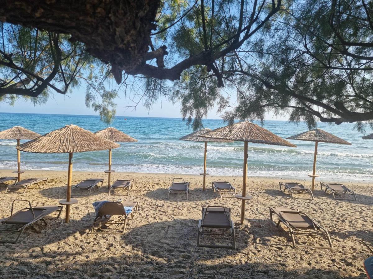 Artemis Lejlighedshotel Makrýgialos Eksteriør billede